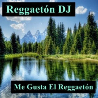 Reggaeton DJ