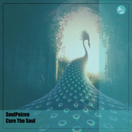 Cure The Soul | Boomplay Music