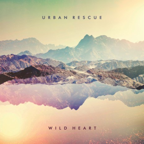 Wild Heart | Boomplay Music