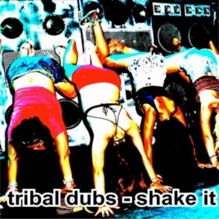 Shake It