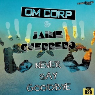 Never Say Goodbye