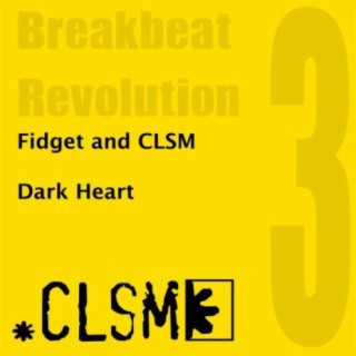 Fidget & CLSM