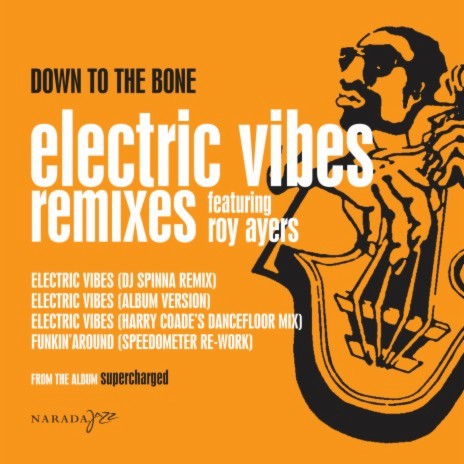 Electric Vibes ft. Roy Ayers | Boomplay Music