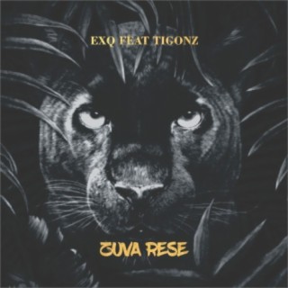 Zuva Rese ft. Ti Gonzi lyrics | Boomplay Music