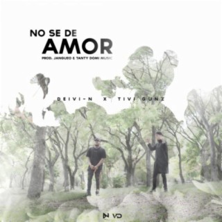 No se de amor (feat. Tivi Gunz)