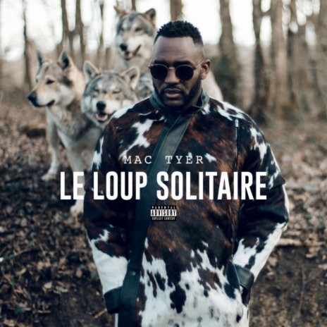 Le loup solitaire | Boomplay Music