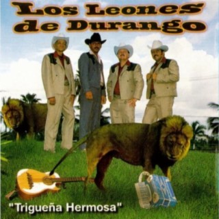 Los Leones de Durango