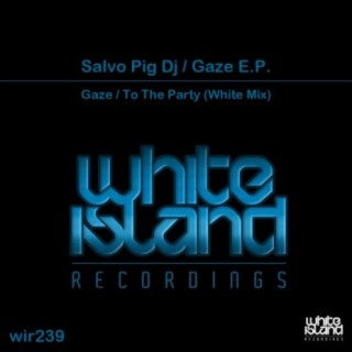 Salvo Pig DJ