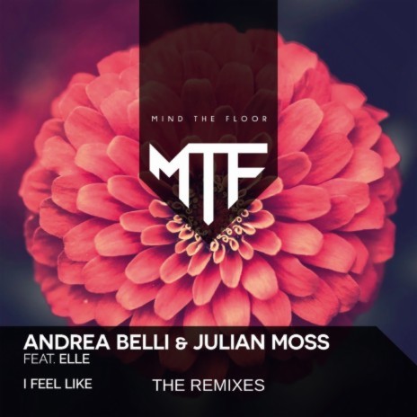 Feel Like You (Mastro J Remix) ft. Julian Moss & Elle | Boomplay Music