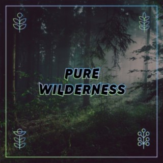 Pure Wilderness