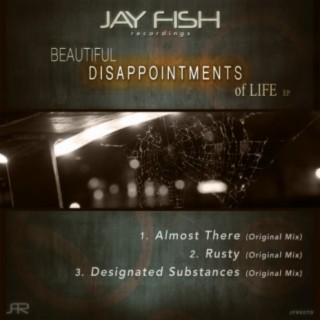 Beautiful Disappointments of Life