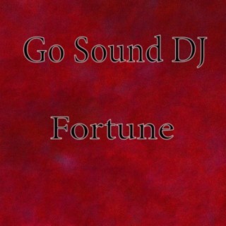 Go Sound DJ