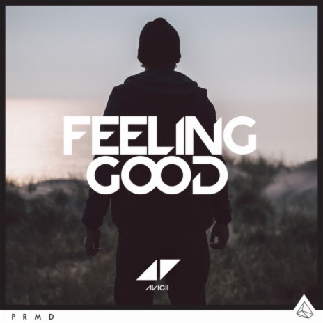 Feeling Good | Boomplay Music