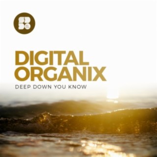 Digital Organix