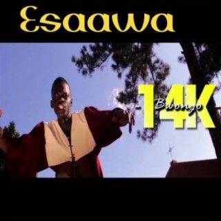 Esaawa