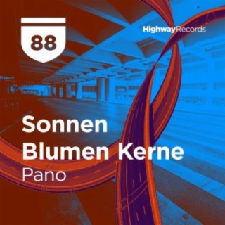 Sonnen Blumen Kerne