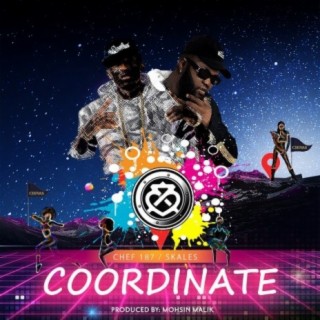 Coordinate lyrics | Boomplay Music