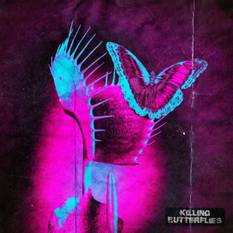 Killing Butterflies | Boomplay Music