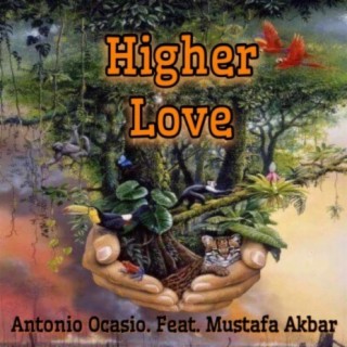 Higher Love