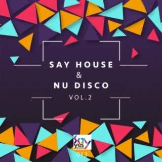 Say House & Nu Disco, Vol. 2