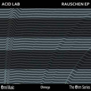 The Ohm Series: Rauschen EP