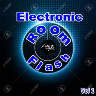 Electronic Room Flash, Vol. 1