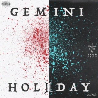 Gemini Holiday