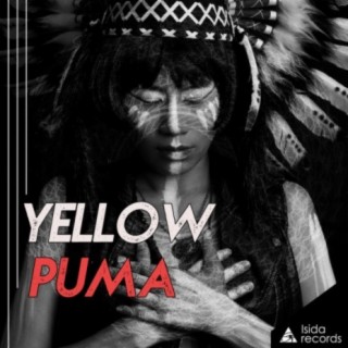 Yellow Puma