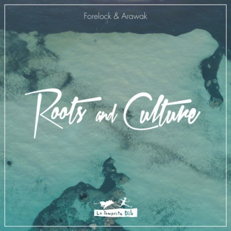 Roots and Culture ft. Arawak & Paolo Baldini DubFiles | Boomplay Music