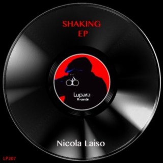 Shaking EP