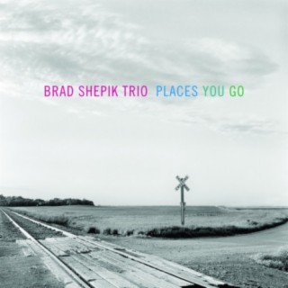 Brad Shepik Trio