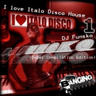 I Love Italo Disco House 1
