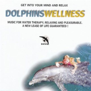 Dolphins Wellness