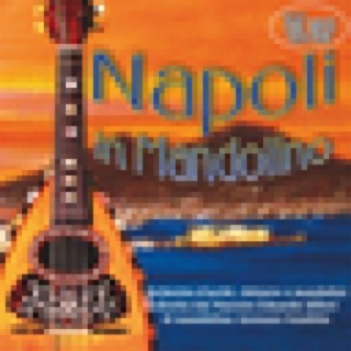 Napoli In Mandolino