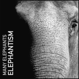 Elephantism