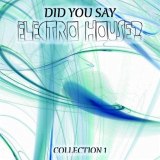 Did You Say Electro House? Collection 1