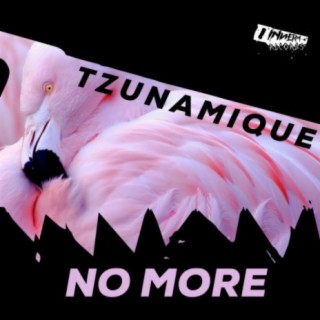 Tzunamique