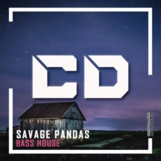 Bass House