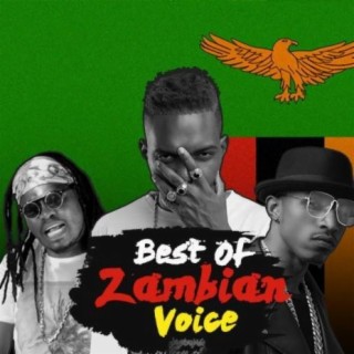 Best Of Zambian Voice Vol.12