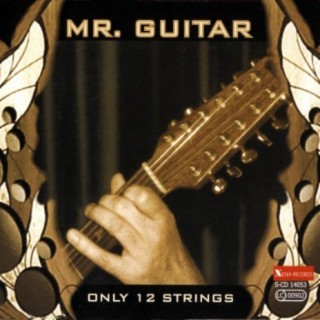 Only 12 Strings