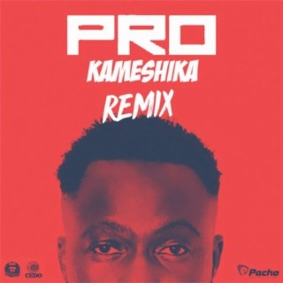 Kameshika (Remix)