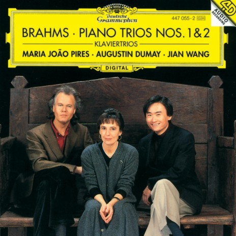 Brahms: Piano Trio No. 2 in C Major, Op. 87: IV. Finale (Allegro giocoso) ft. Augustin Dumay & Jian Wang | Boomplay Music