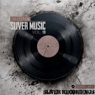 SLiVER Music Collection, Vol.19