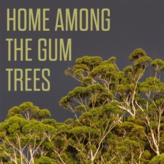 Home Among The Gum Trees