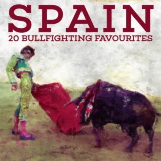 Spain - 20 Bullfighting Favourites