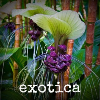 Exotica