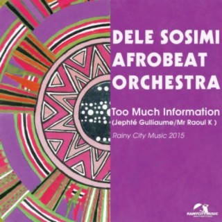 Dele Sosimi Afrobeat Orchestra