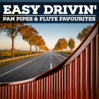 Easy Drivin' - Pan Pipes & Flute Favourites