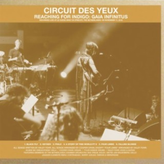 Circuit Des Yeux