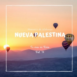 M.A.A. Nueva Palestina